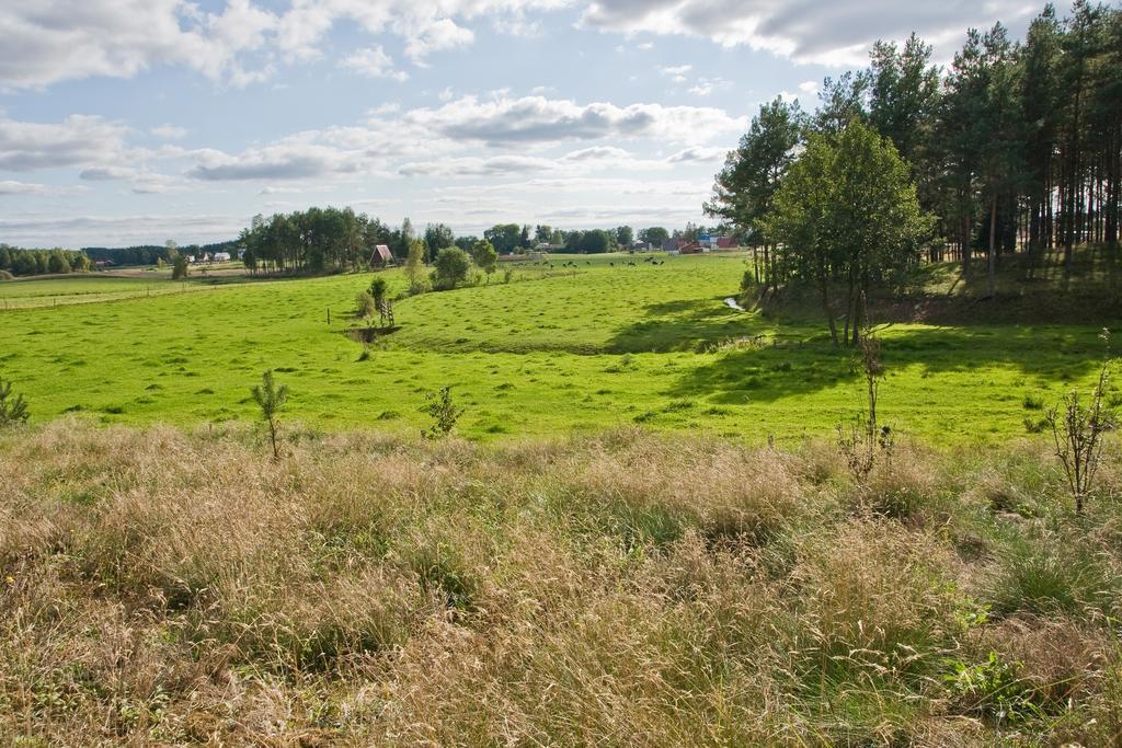 Agroturystyka Sominy Piotr ภายนอก รูปภาพ