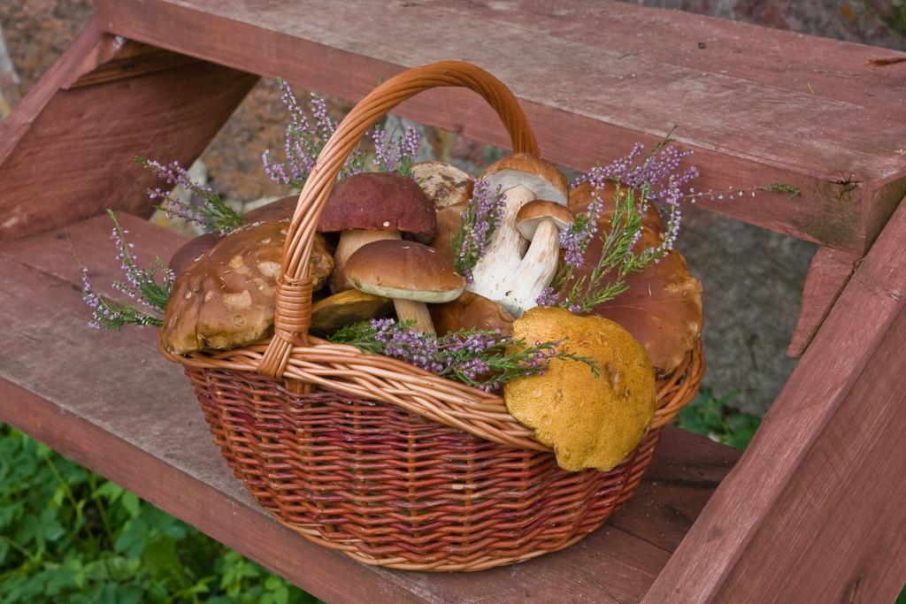 Agroturystyka Sominy Piotr ภายนอก รูปภาพ