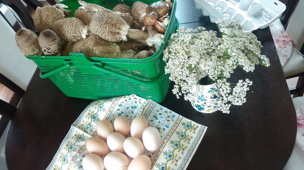 Agroturystyka Sominy Piotr ภายนอก รูปภาพ