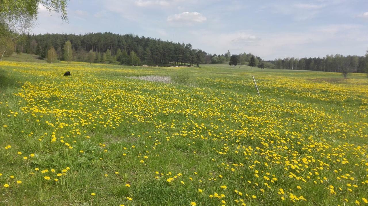Agroturystyka Sominy Piotr ภายนอก รูปภาพ